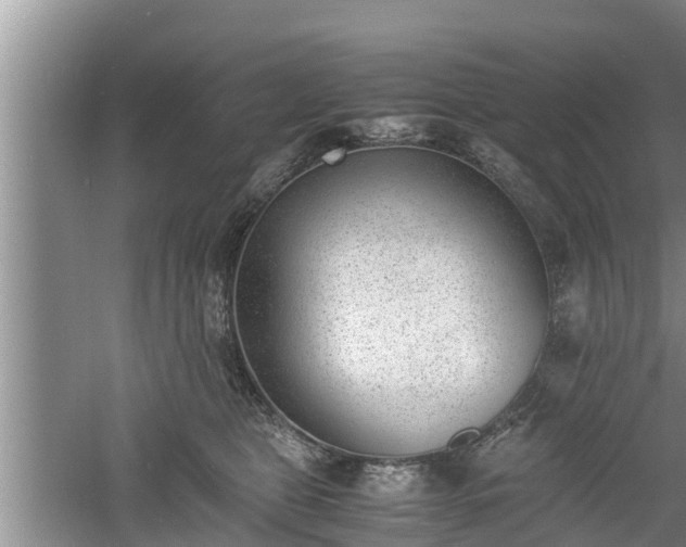 X0000060800469200511171246