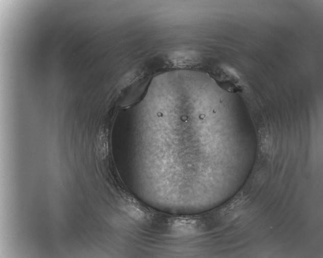 X0000060800471200511171246