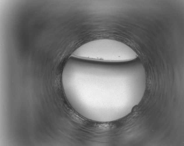 X0000060800473200511171246