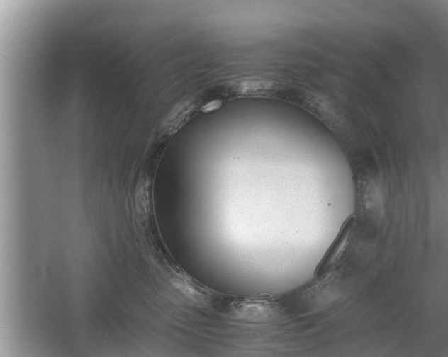 X0000060800475200511171246