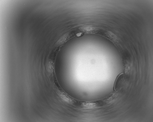 X0000060800476200511171246