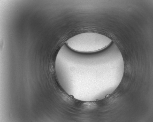 X0000060800477200511171246