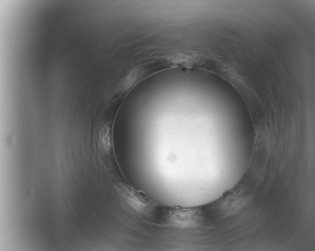 X0000060800479200511171246