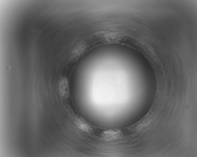 X0000060800480200511171246