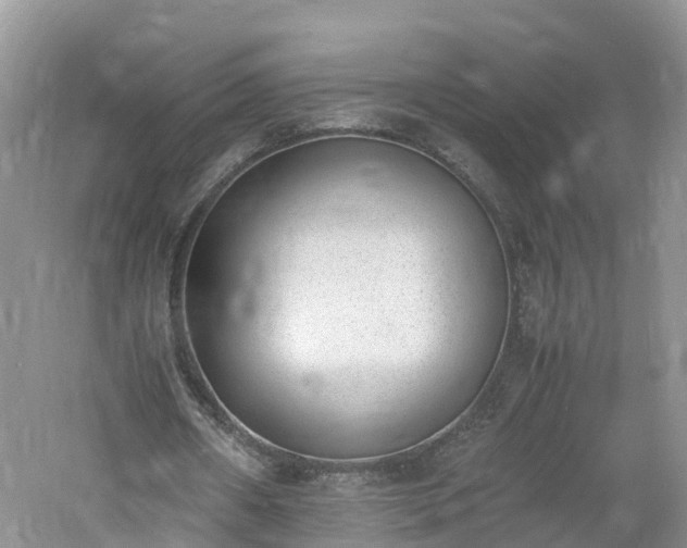 X0000060800482200511171246