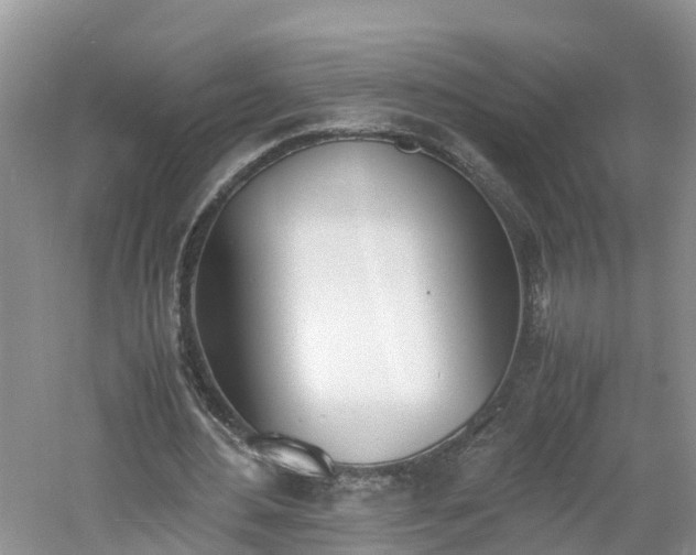 X0000060800484200511171245