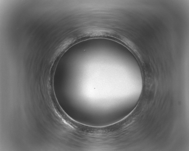 X0000060800485200511171245