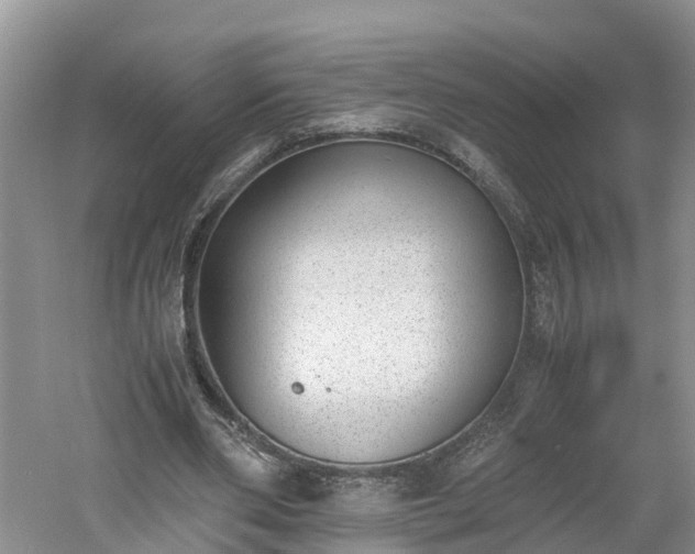 X0000060800486200511171245