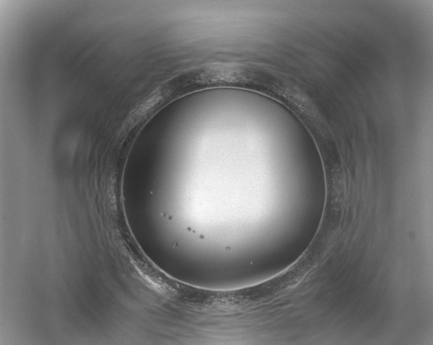 X0000060800489200511171245