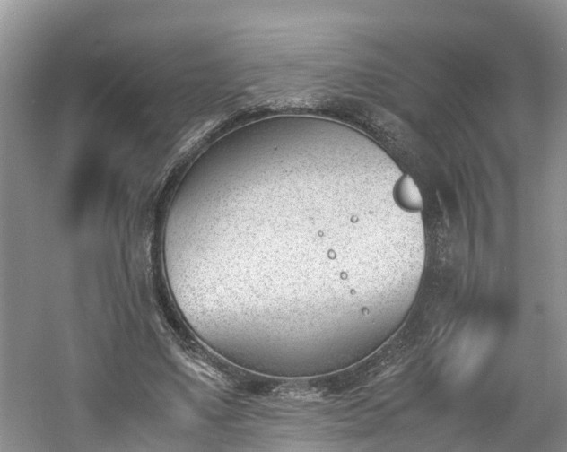 X0000060800491200511171245