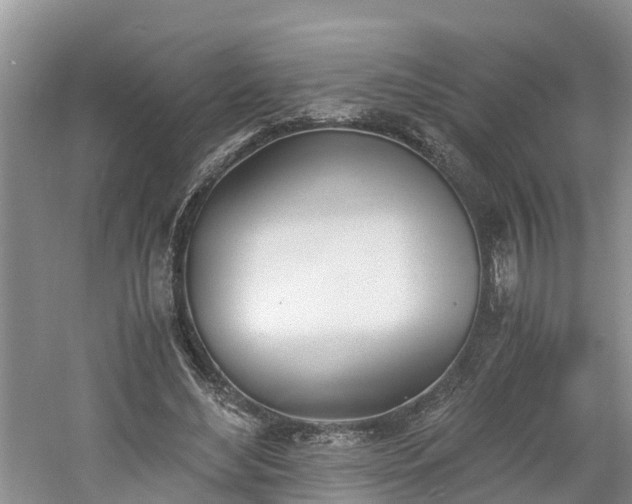 X0000060800492200511171245