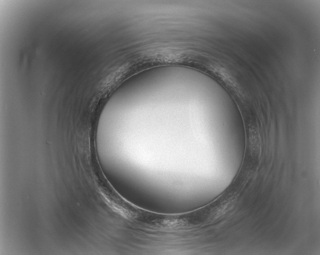 X0000060800493200511171245