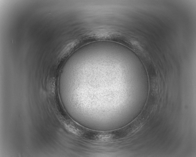 X0000060800495200511171245