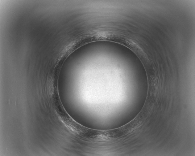 X0000060800496200511171245