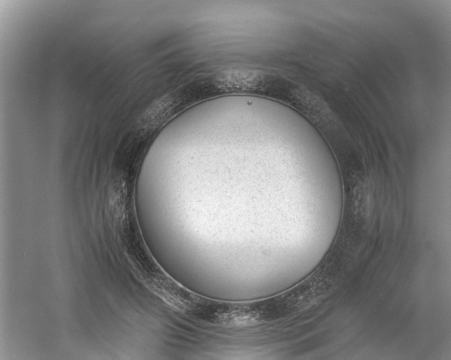 X0000060800498200511171245