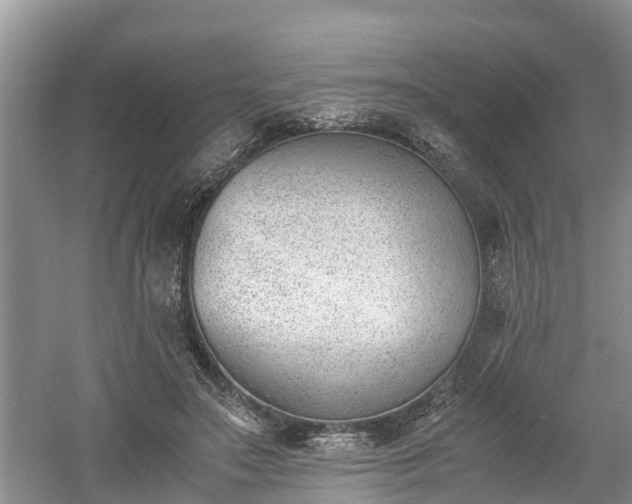 X0000060800499200511171245