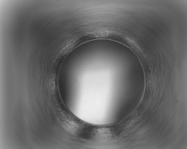 X0000060800501200511171245