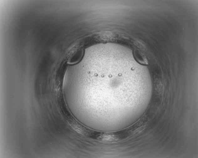 X0000060800507200511171245