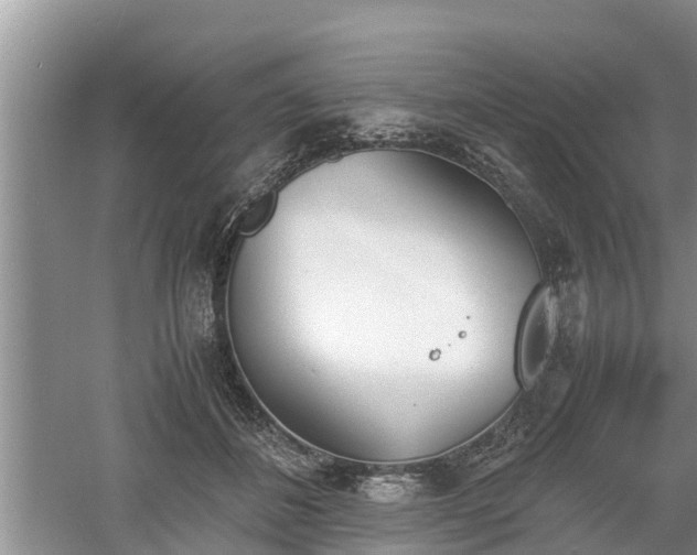 X0000060800508200511171245