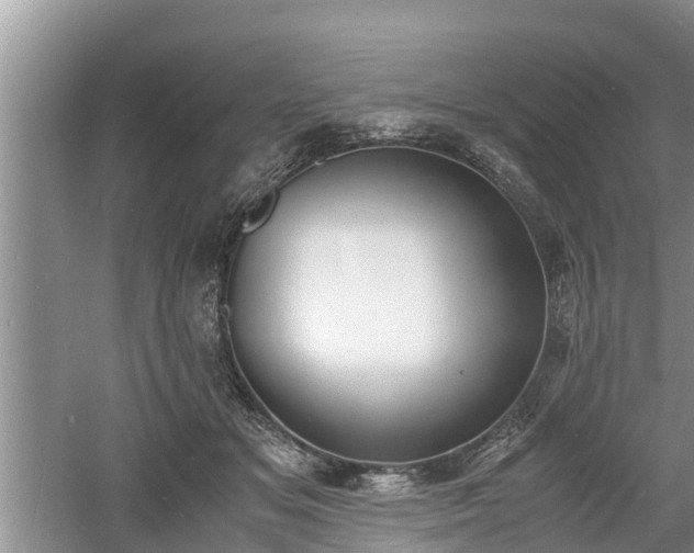 X0000060800509200511171245