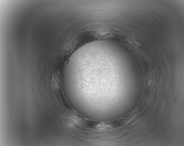 X0000060800515200511171245