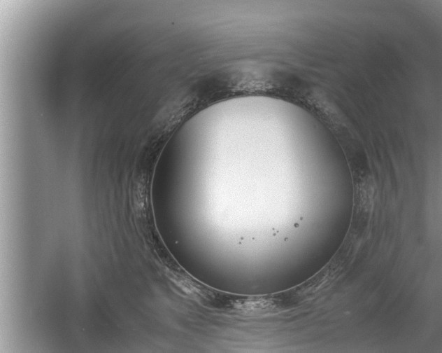 X0000060800517200511171245