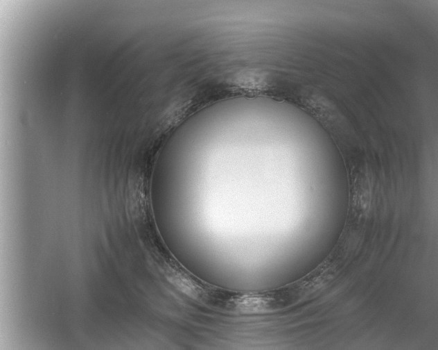 X0000060800518200511171245