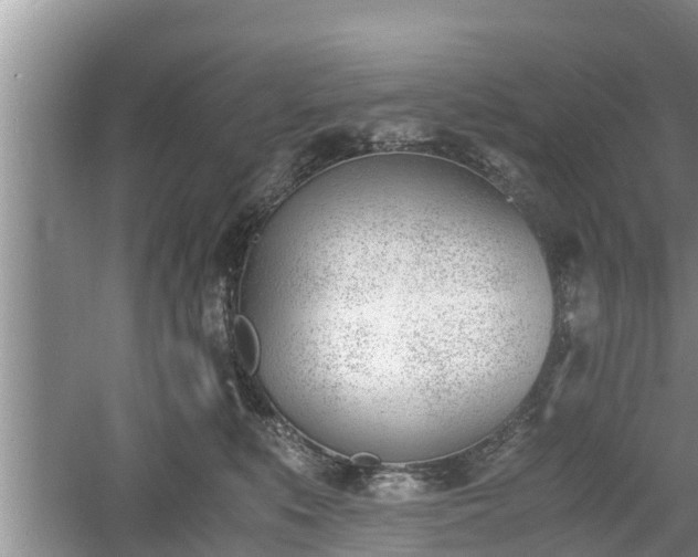 X0000060800519200511171245