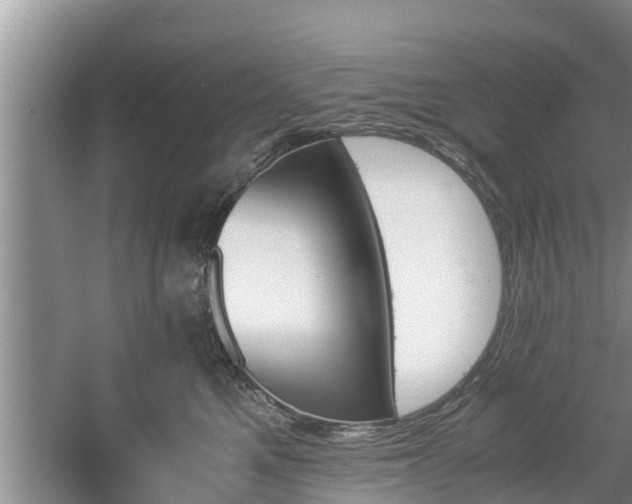 X0000060800521200511171245