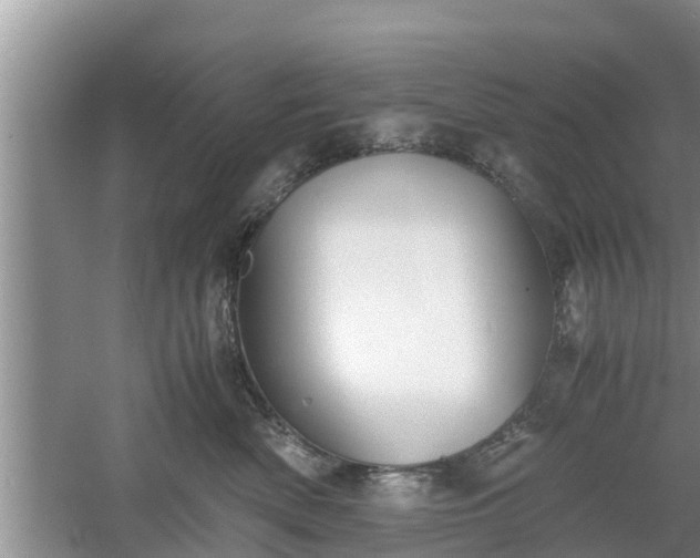 X0000060800522200511171245