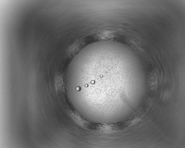 X0000060800523200511171245