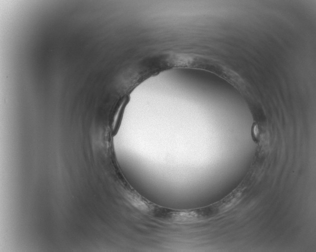 X0000060800525200511171245