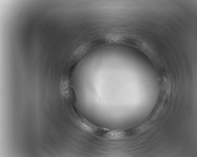 X0000060800526200511171245