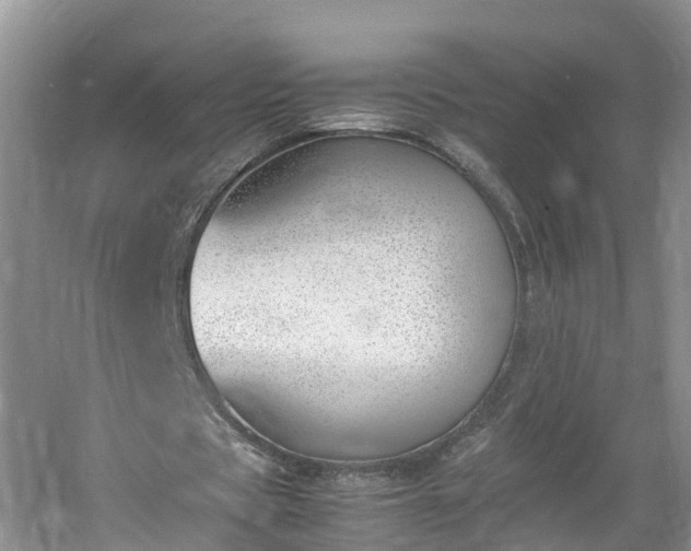 X0000060800529200511171244