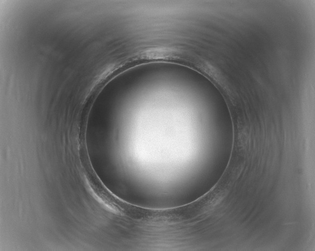 X0000060800530200511171244