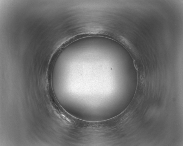 X0000060800532200511171244