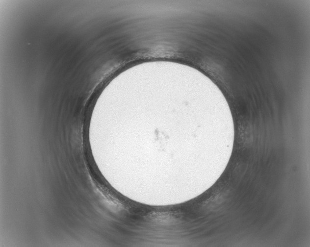 X0000060800534200511171244