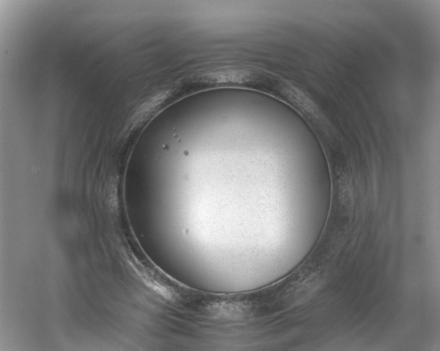 X0000060800537200511171244