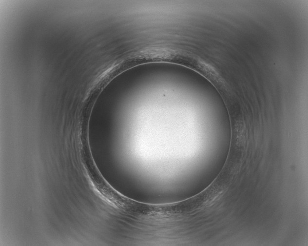 X0000060800538200511171244