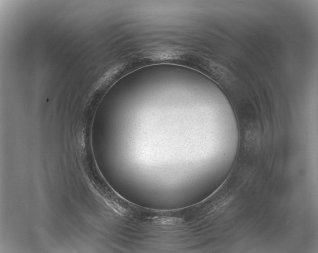 X0000060800539200511171244