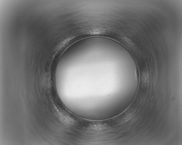 X0000060800540200511171244