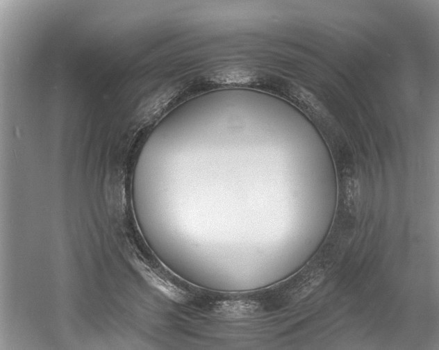 X0000060800541200511171244