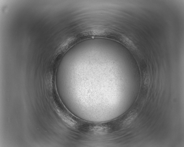 X0000060800542200511171244