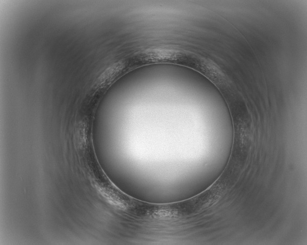 X0000060800546200511171244