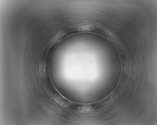 X0000060800548200511171244