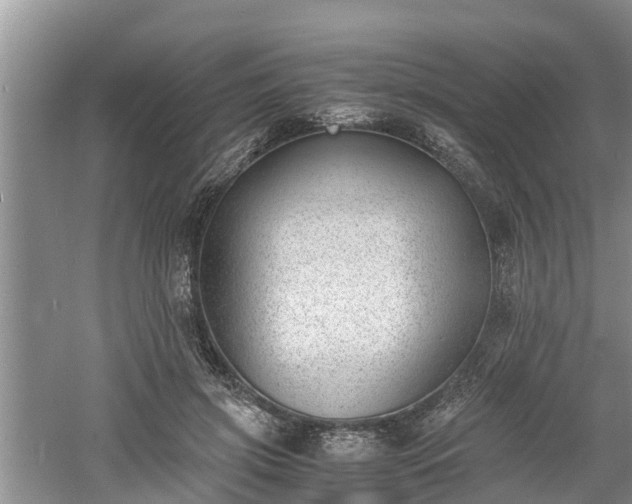 X0000060800549200511171244