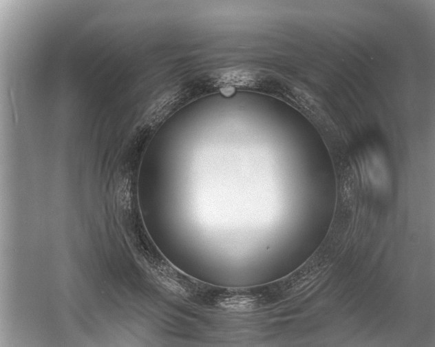 X0000060800551200511171244