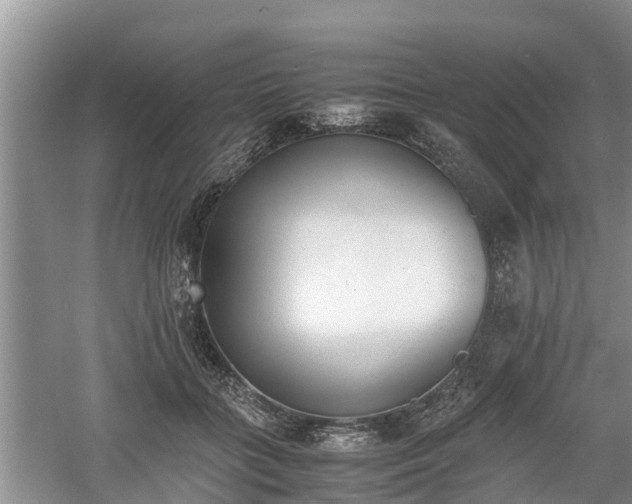 X0000060800555200511171244