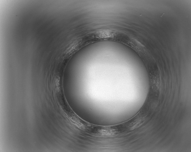 X0000060800556200511171244