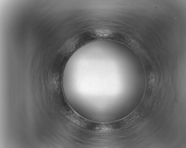 X0000060800559200511171244